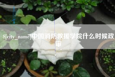 南宁中国消防救援学院什么时候政审