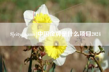 南宁中国金牌是什么项目2024