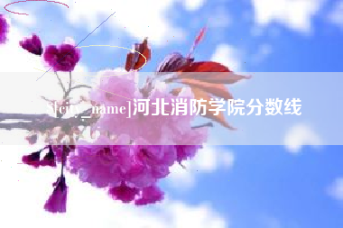 南宁河北消防学院分数线