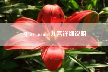 南宁九宫详细说明