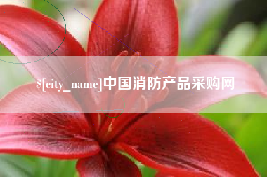 南宁中国消防产品采购网