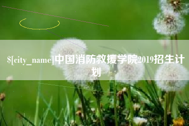 南宁中国消防救援学院2019招生计划