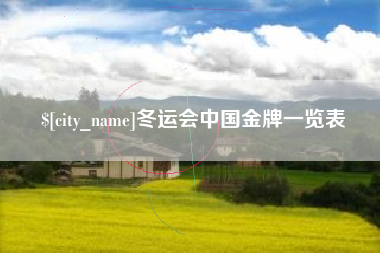 南宁冬运会中国金牌一览表