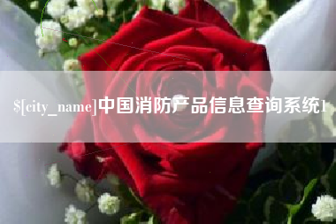 南宁中国消防产品信息查询系统1