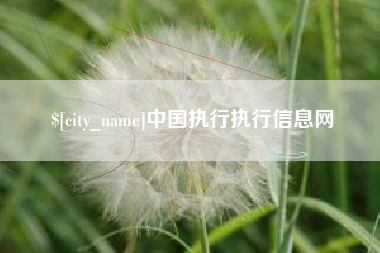 南宁中国执行执行信息网