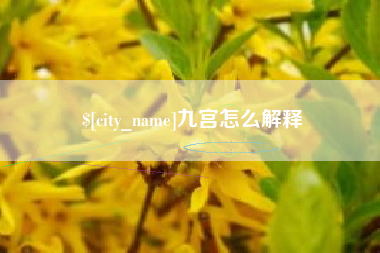 南宁九宫怎么解释