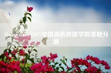 南宁2021中国消防救援学院录取分数