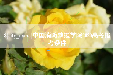 南宁中国消防救援学院2020高考报考条件