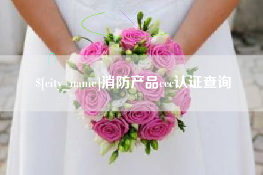 南宁消防产品ccc认证查询
