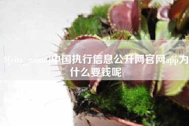 南宁中国执行信息公开网官网app为什么要钱呢