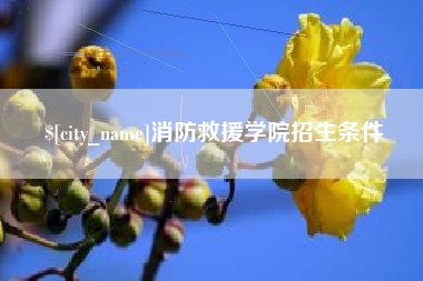 南宁消防救援学院招生条件