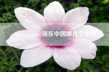 南宁现在中国哪几个金牌