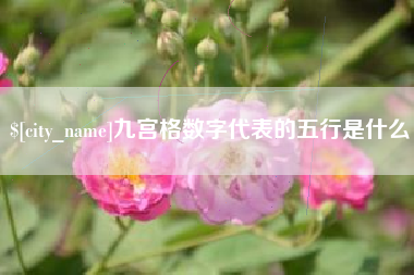 南宁九宫格数字代表的五行是什么