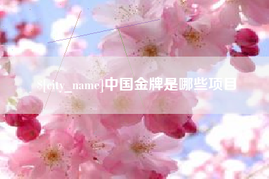 南宁中国金牌是哪些项目