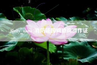 南宁消防证国网查询操作证