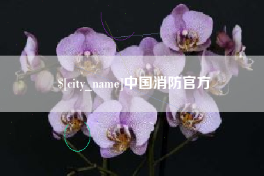 南宁中国消防官方