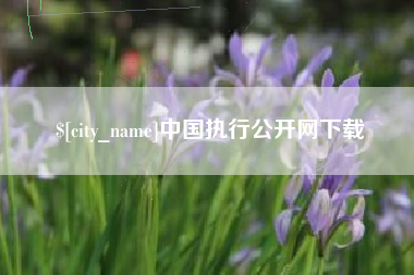南宁中国执行公开网下载