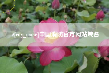南宁中国消防官方网站域名