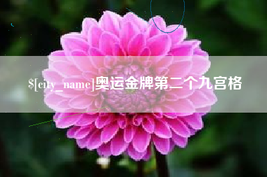 南宁奥运金牌第二个九宫格
