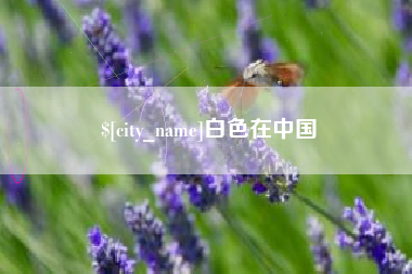 南宁白色在中国