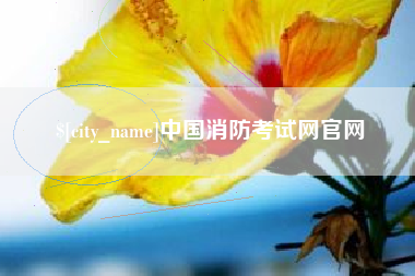 南宁中国消防考试网官网