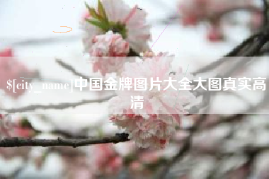 南宁中国金牌图片大全大图真实高清