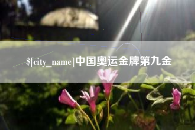 南宁中国奥运金牌第九金