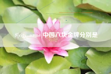 南宁中国六块金牌分别是
