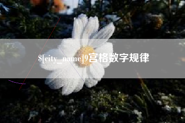 南宁9宫格数字规律