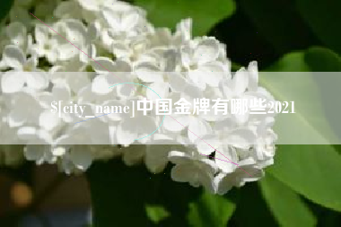 南宁中国金牌有哪些2021