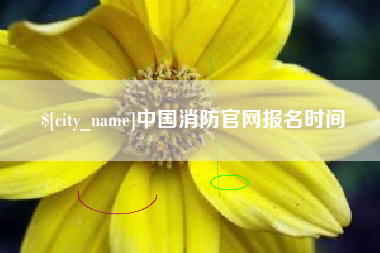 南宁中国消防官网报名时间