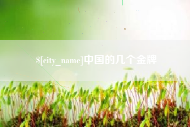 南宁中国的几个金牌
