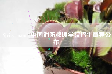 南宁中国消防救援学院招生章程公布!