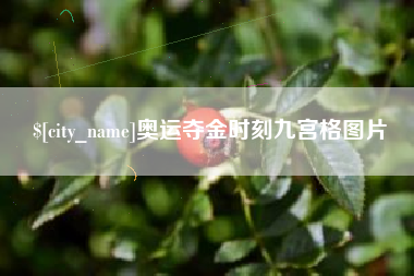 南宁奥运夺金时刻九宫格图片