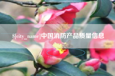 南宁中国消防产品质量信息