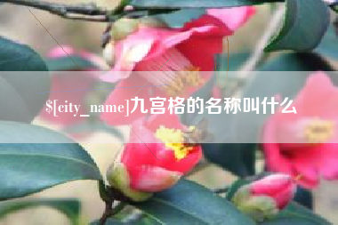 南宁九宫格的名称叫什么