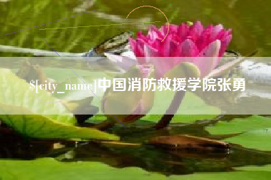 南宁中国消防救援学院张勇