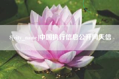 南宁中国执行信息公开网失信