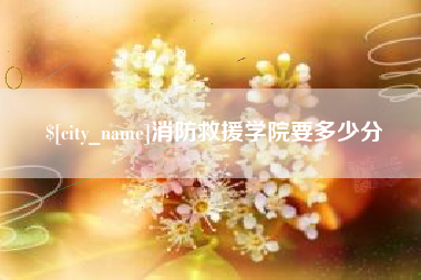 南宁消防救援学院要多少分