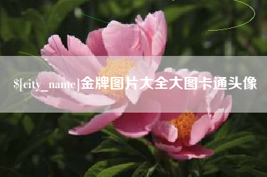 南宁金牌图片大全大图卡通头像