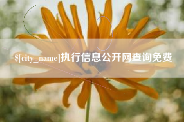 南宁执行信息公开网查询免费