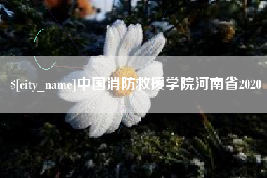 南宁中国消防救援学院河南省2020